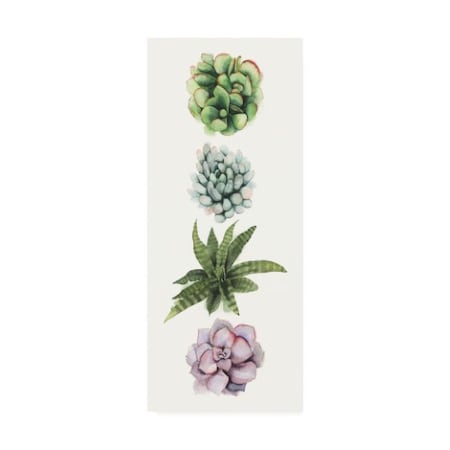 Grace Popp 'Row Of Succulents Ii' Canvas Art,8x19